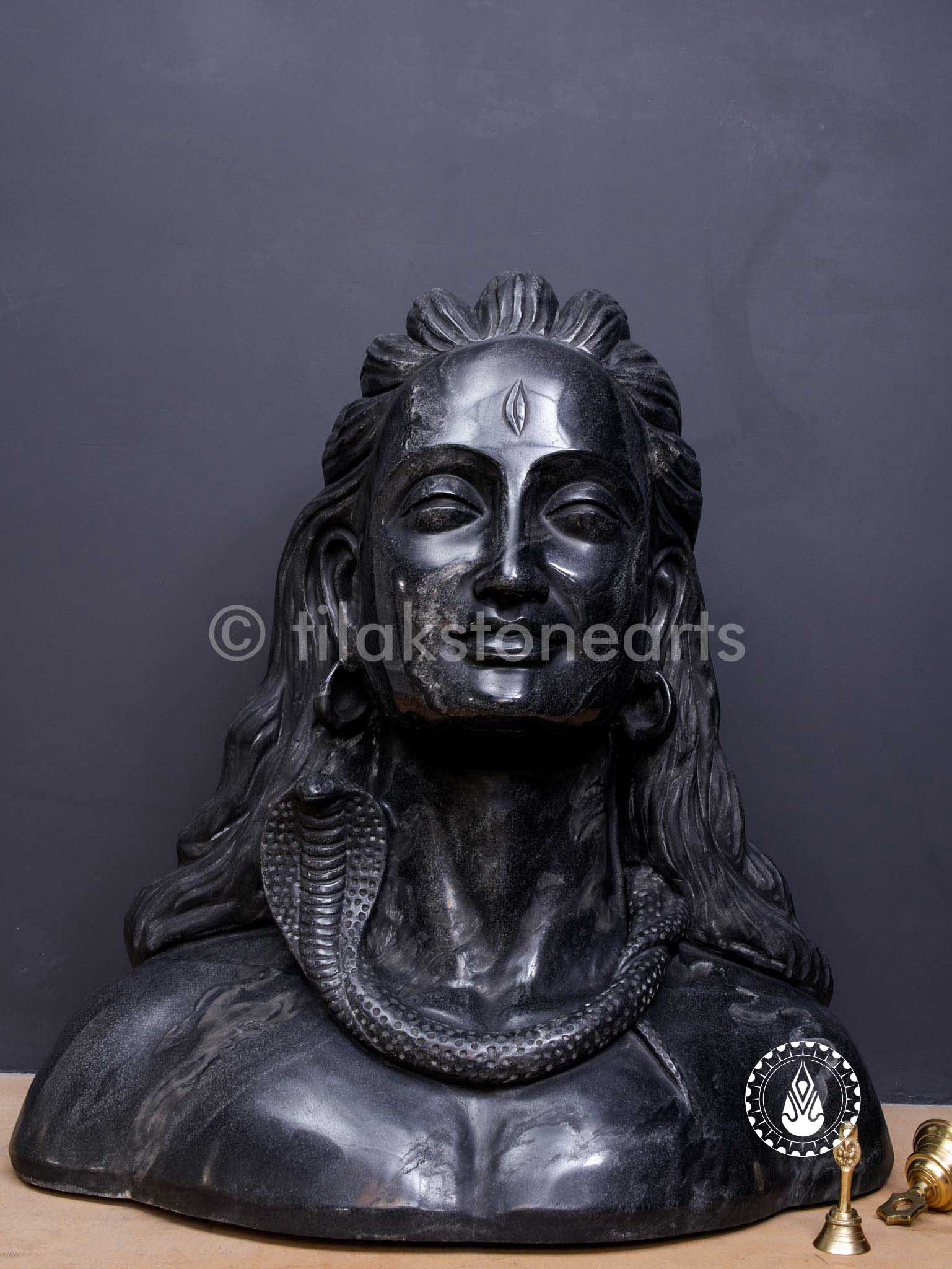 Adiyogi 30